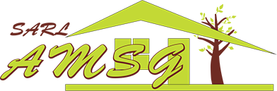 SARL AMSG